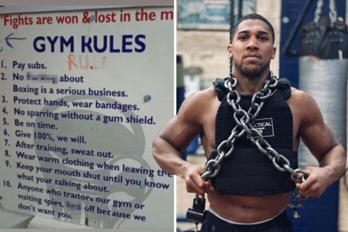 Anthony Joshua shares his 10 gym rules and tells 'traitors' and Oleksandr Usyk 'spies' to 'f*** off'