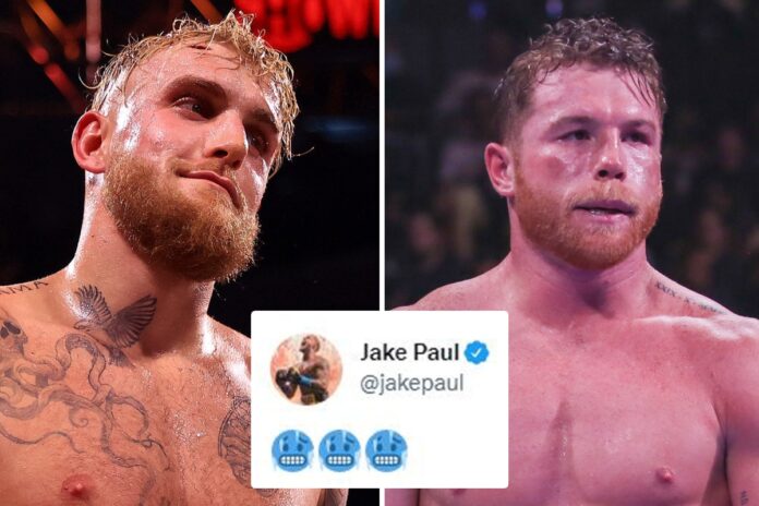 Jake Paul hints at Canelo Alvarez fight as he responds to claim Mexican's next opponent will 'not be for boxing purists'