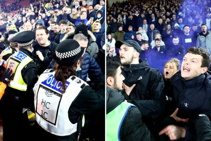 Man City face FA probe as three fans hauled off pitch and others fight with police in stands during Southampton draw