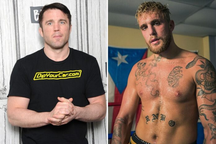 Jake Paul is the 'most feared man in boxing' and fighters 'not sure they can beat him', claims ex-UFC star Chael Sonnen
