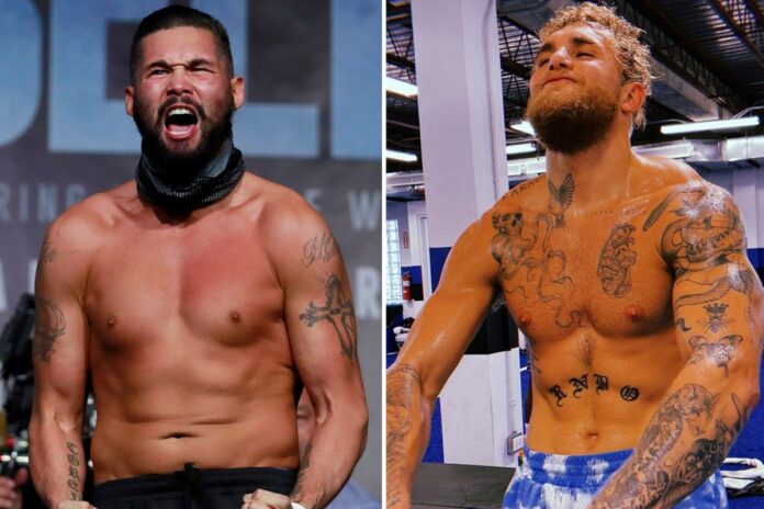 'Absolute f***ing muppet' - Jake Paul slammed by Tony Bellew for claiming he is carrying boxing after just five fights