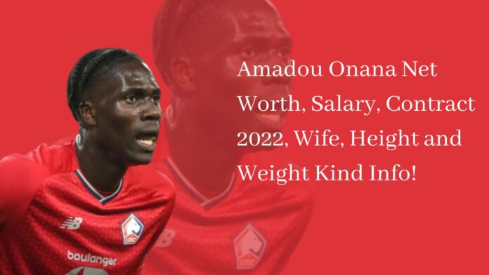 Amadou Onana Net Worth, Salary, Contract 2022, Wife, Height and Weight Kind Info!