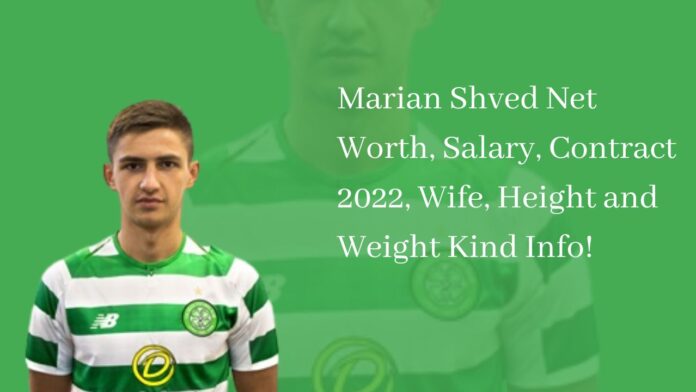 Marian Shved Net Worth, Salary, Contract 2022, Wife, Height and Weight Kind Info!